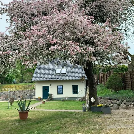 „rentmeisterhaus Basedow“ *