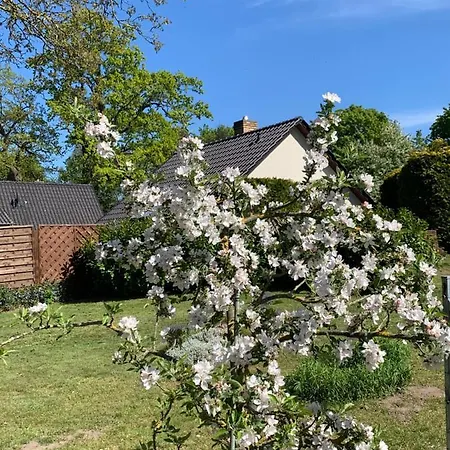 „rentmeisterhaus Basedow“ Basedow (Mecklenburg-Vorpommern)