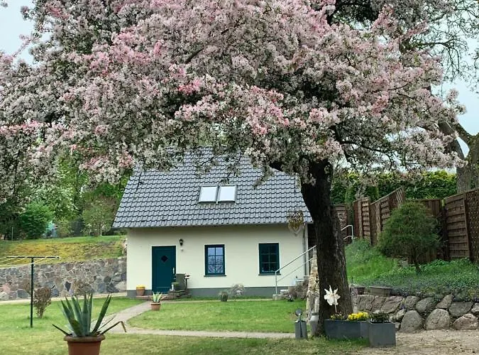 „rentmeisterhaus Basedow“ *